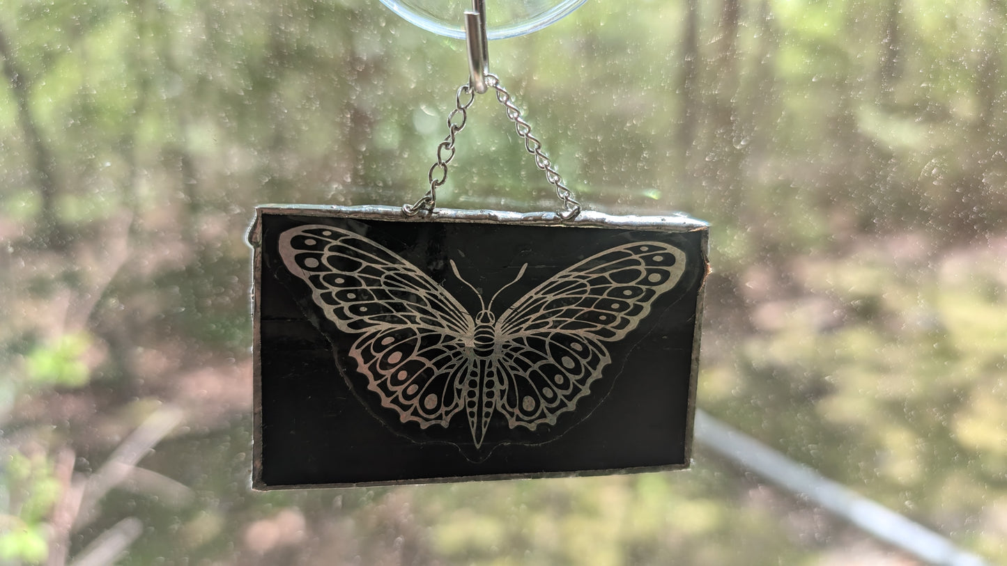 Butterfly hologram with glass frame