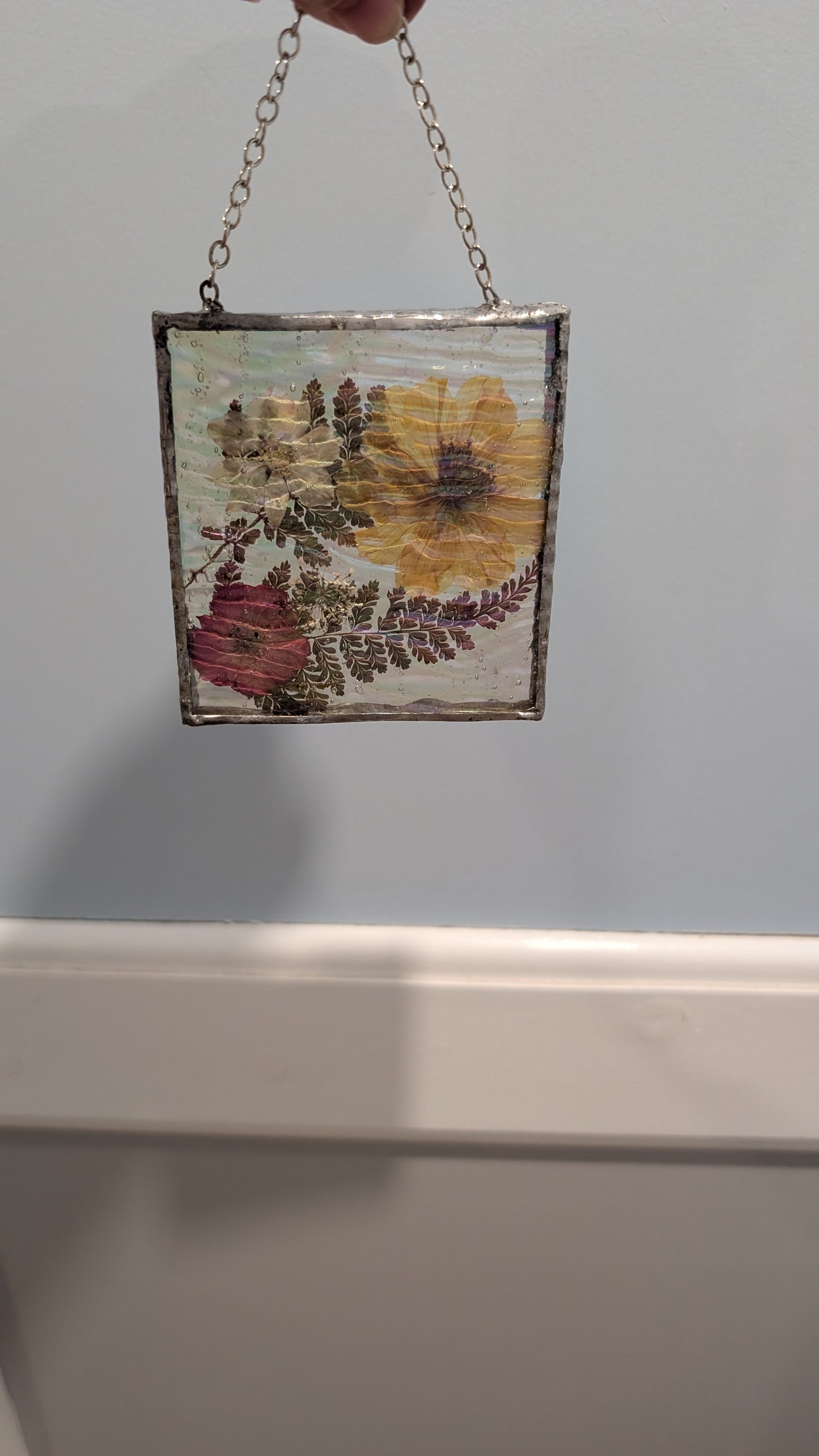 Flowers and ferns