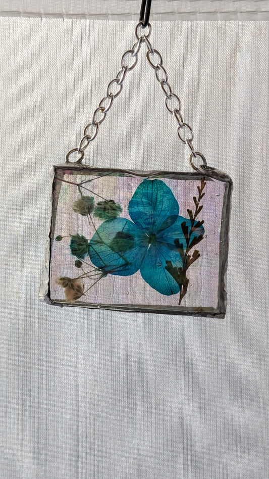 Flower in glass frame