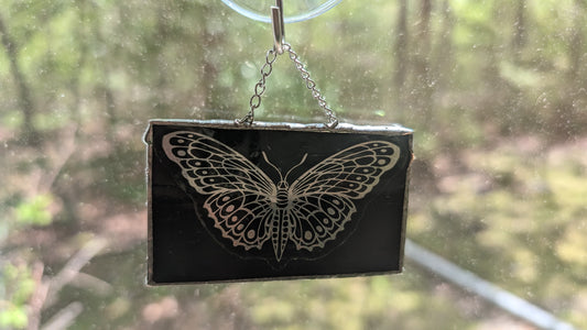 Butterfly hologram with glass frame